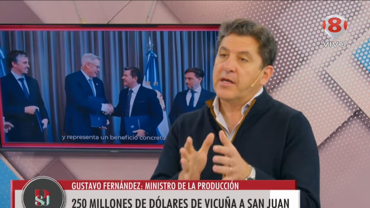 El Gobierno defendió el acuerdo con Vicuña, pero Diputados aún debe despejar sus puntos ciegos