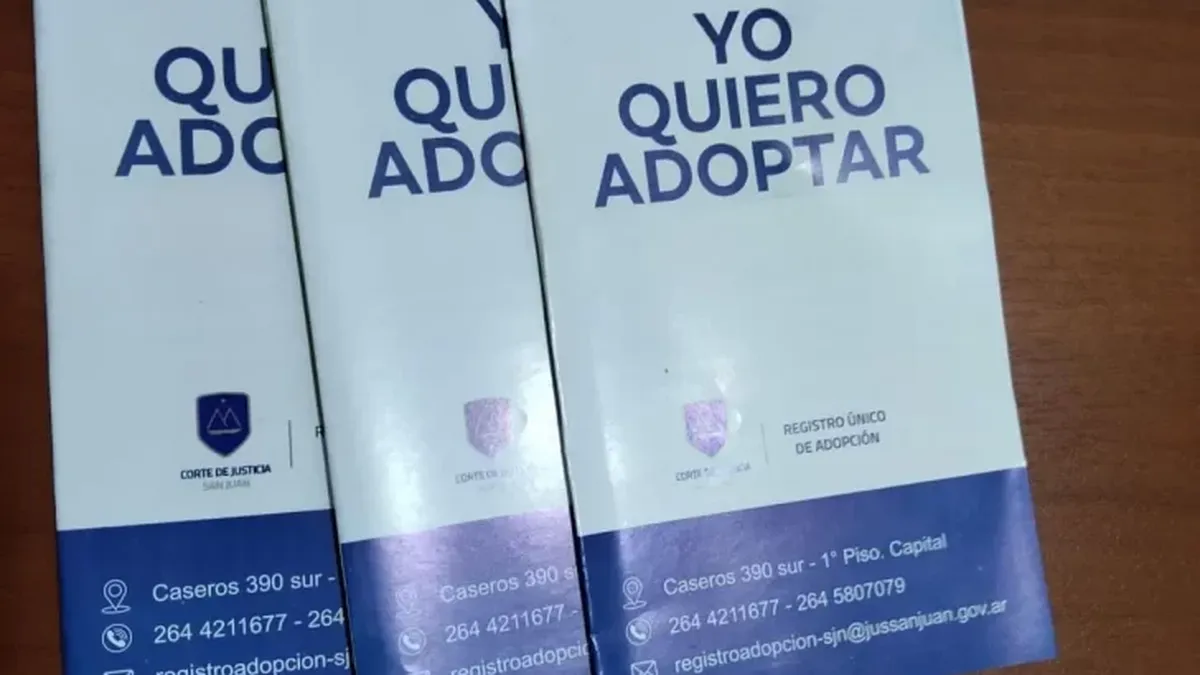 Sólo 16 de 106 familias inscriptas aceptarían adoptar a chicos con discapacidad