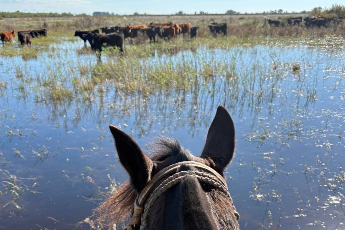 El Niño amenaza la campaña agrícola y vuelve a exponer la falta de infraestructura