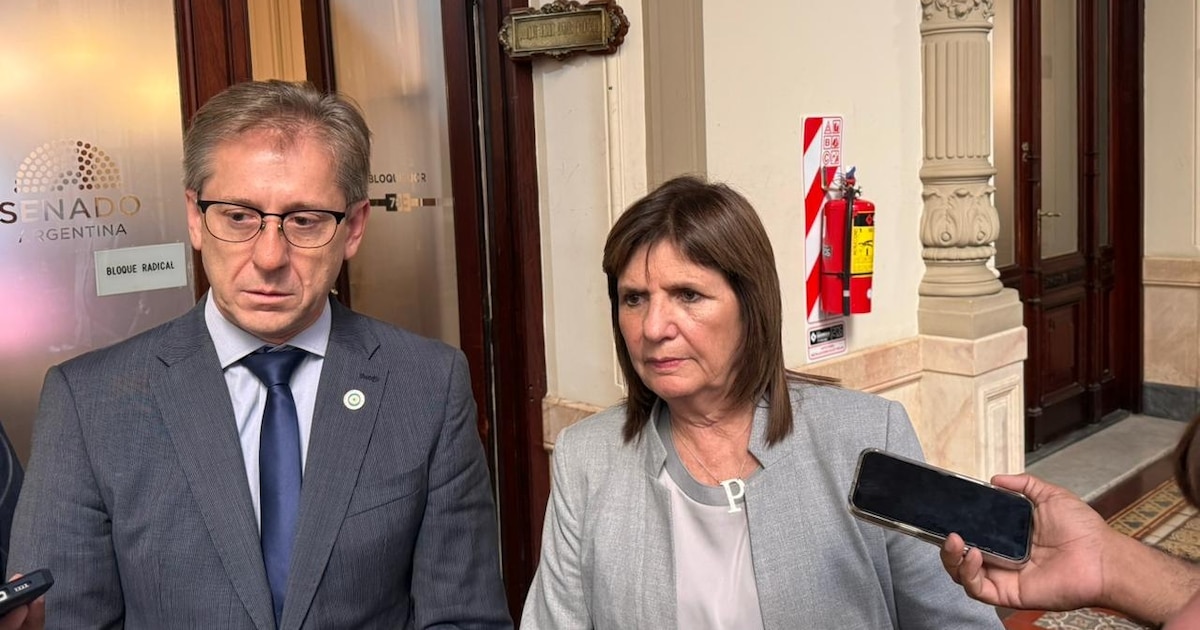 El Senado abre el debate por incentivos para pymes mientras negocia el Súper RIGI