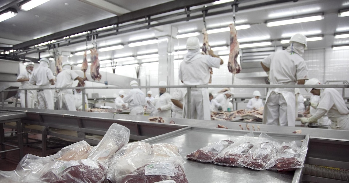 La carne vacuna aportó más de US$2.700 millones, impulsada por precios y demanda externa