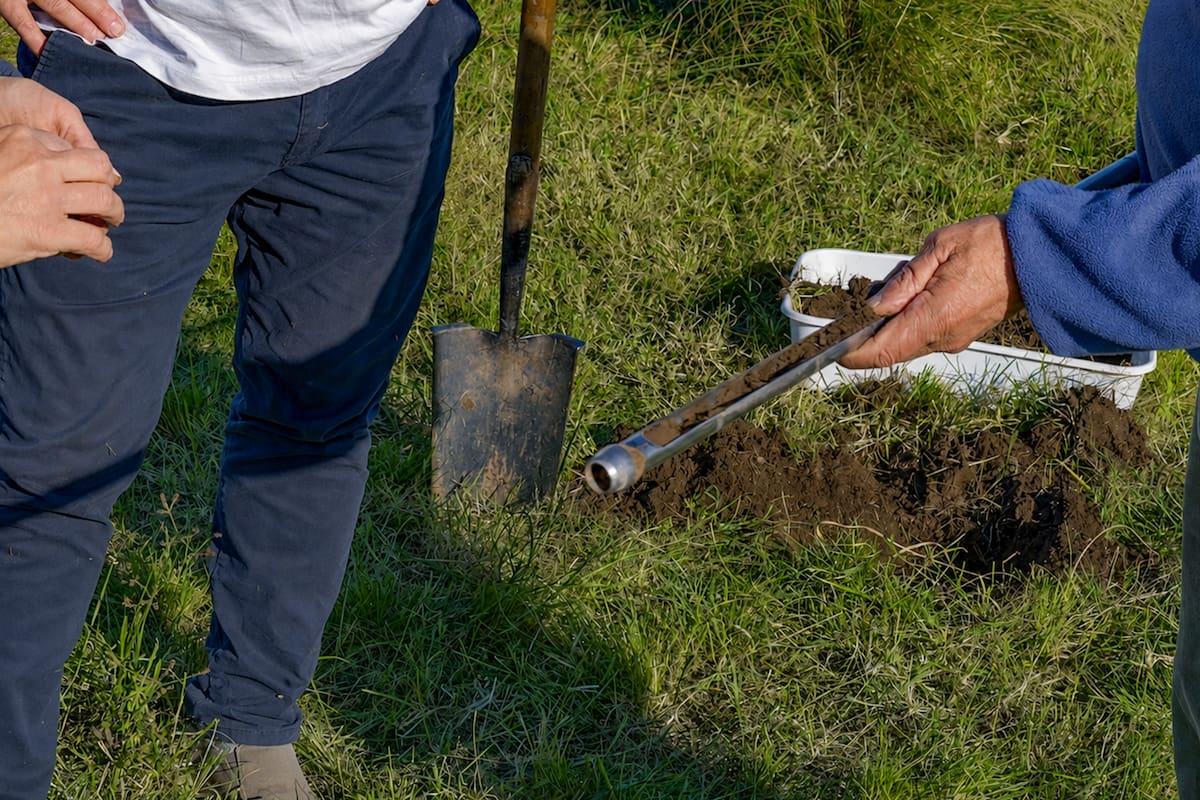 Productores cobraron US$1,2 millones por créditos de carbono de ganadería regenerativa